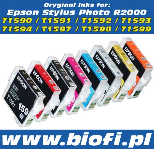 Genuine Epson Consumable Inks Epson R2000