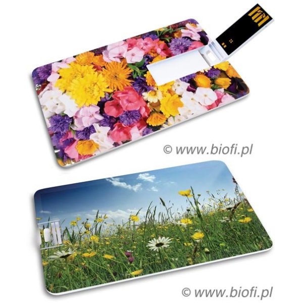 KIBA-069: Kwiaty - GROZER Karta 64GB USB 2.0 + 5 x ETUI RFID