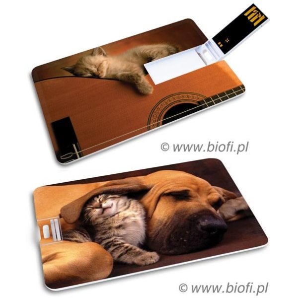 KIBA-040: Kociak i Psiak - GROZER Karta 32GB USB 2.0 + 5 x ETUI RFID