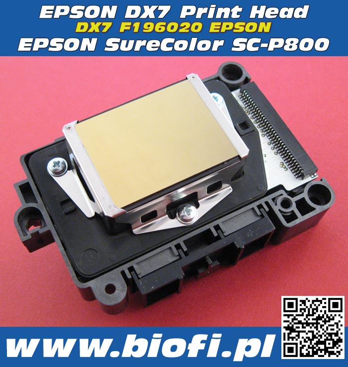 Głowica Drukująca EPSON DX7 F196020 PRINT HEAD EPSON DX7 PrintHead for EPSON SureColor SC-P800