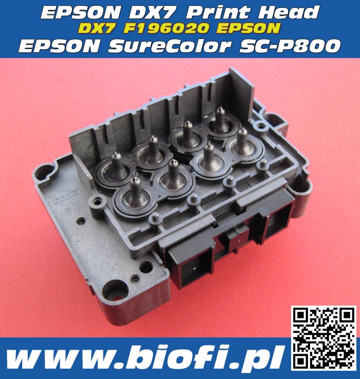 Głowica Drukująca EPSON DX7 F196020 PRINT HEAD EPSON DX7 PrintHead for EPSON SureColor SC-P800